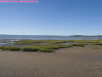 tidal flats at low tide